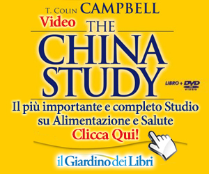 China
                                                          Studi dvd